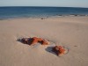 Western Beach, Cape Leveque